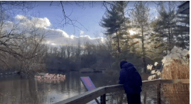 The Bronx Zoo